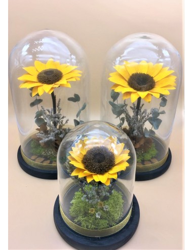 comprar cúpula girasol preservado. Girasol preservado envío gratis 24h