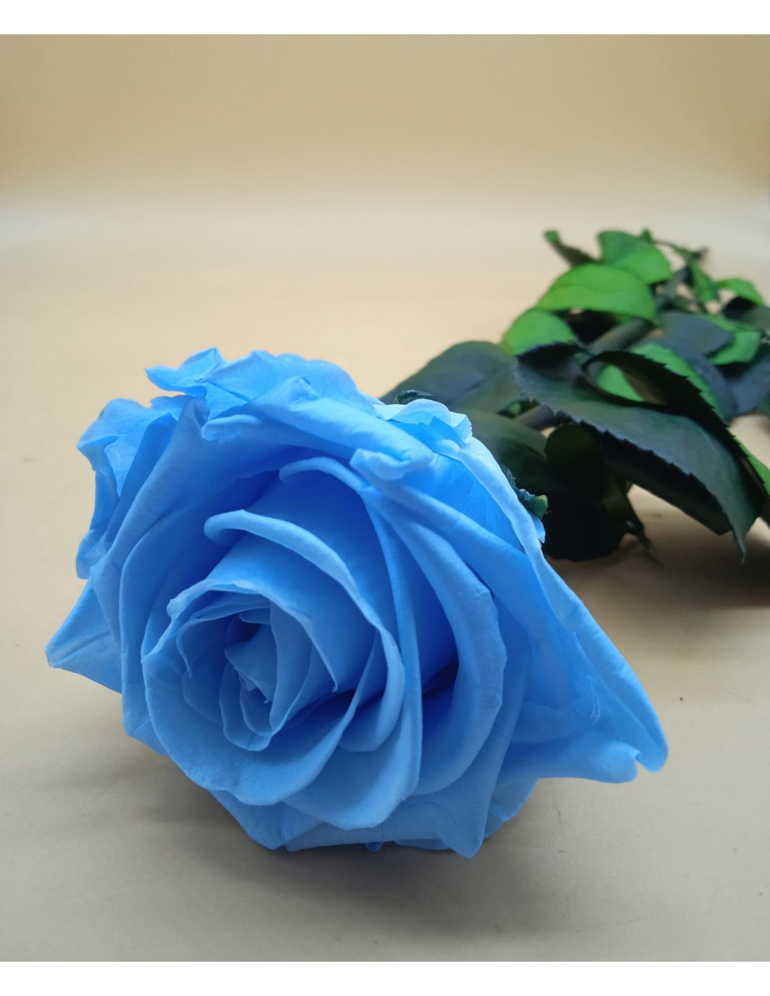Rosas Eternas Cuenca - Azul eléctrico. Un color mágico para tus rosas