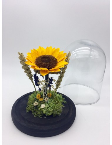 comprar cúpula girasol preservado. Girasol preservado envío gratis 24h